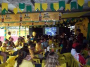 Fotos da Semana