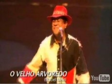 O Velho Alv�redo