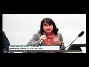 Alessandra Nilo - Implementação da Agenda 2030